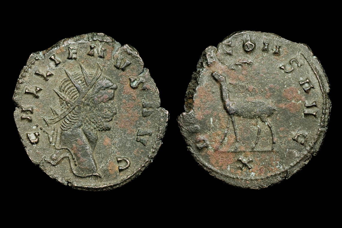 rp1605bb2524.jpg