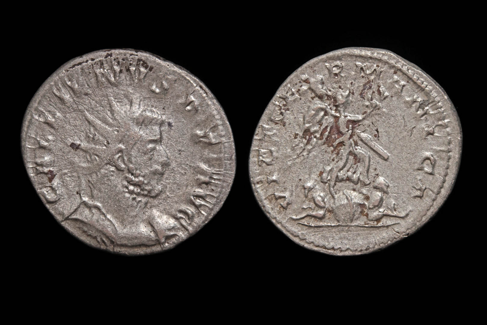 rp1623fd3176.jpg
