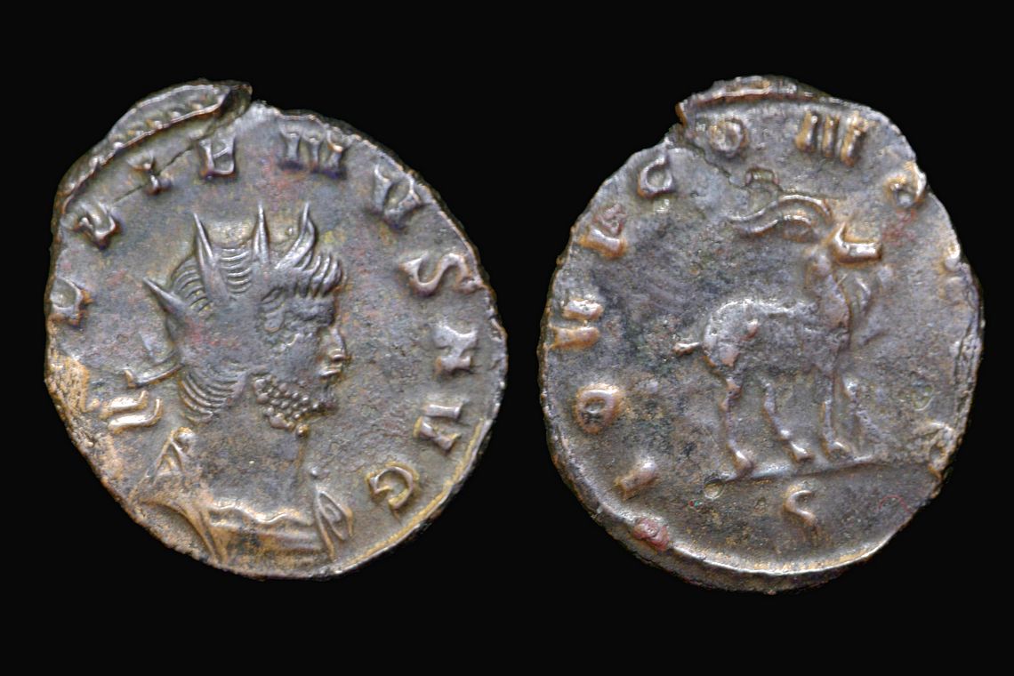 rp1630b02167lg.jpg
