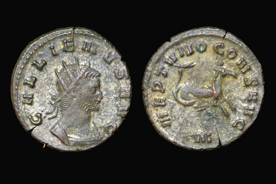 rp1640b01162lg.jpg
