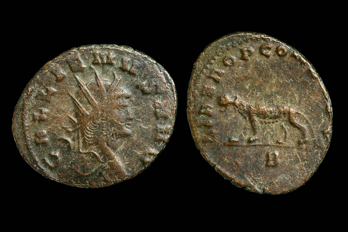 rp1651bb2945.jpg