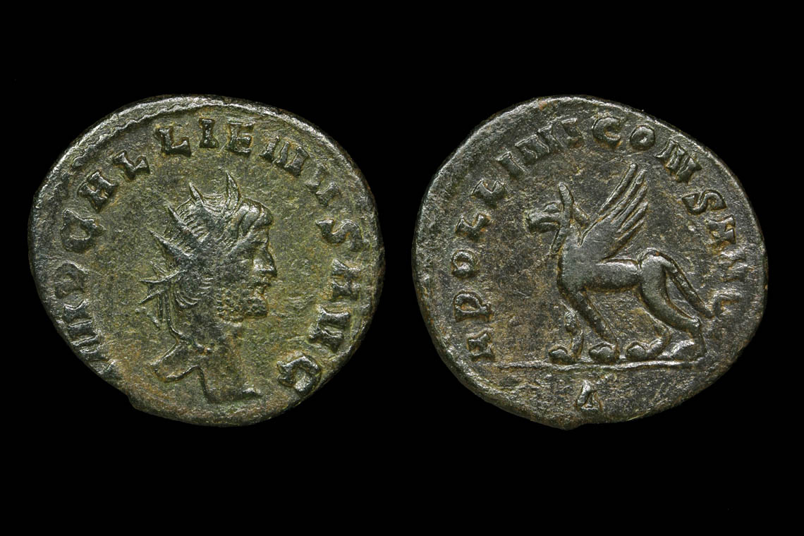 rp1655bb2961.jpg