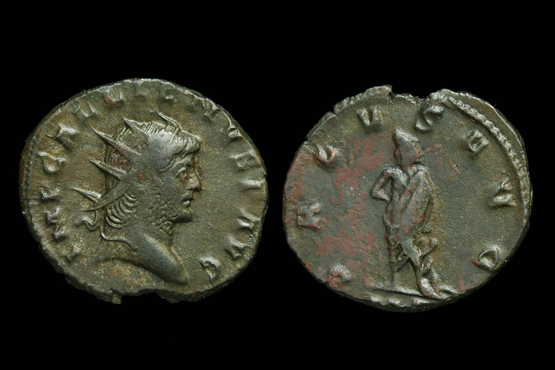 rp1666bb3034.jpg