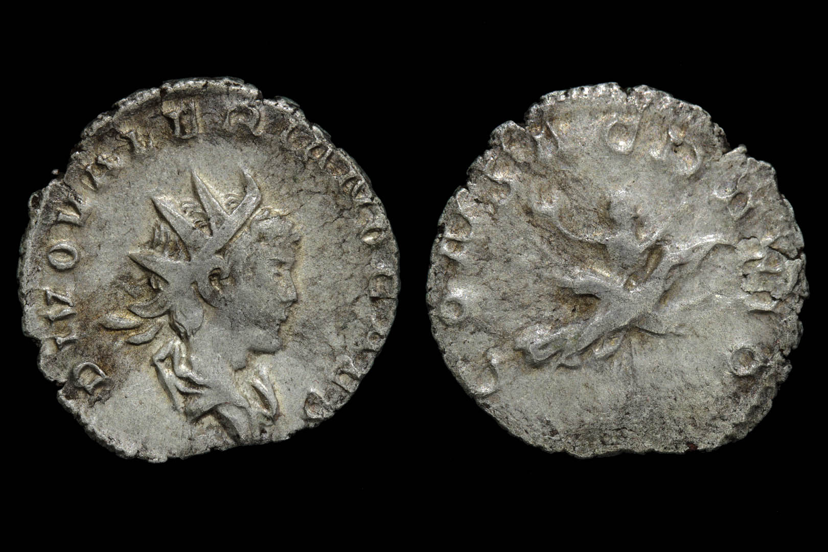 rp1765fd3290.jpg