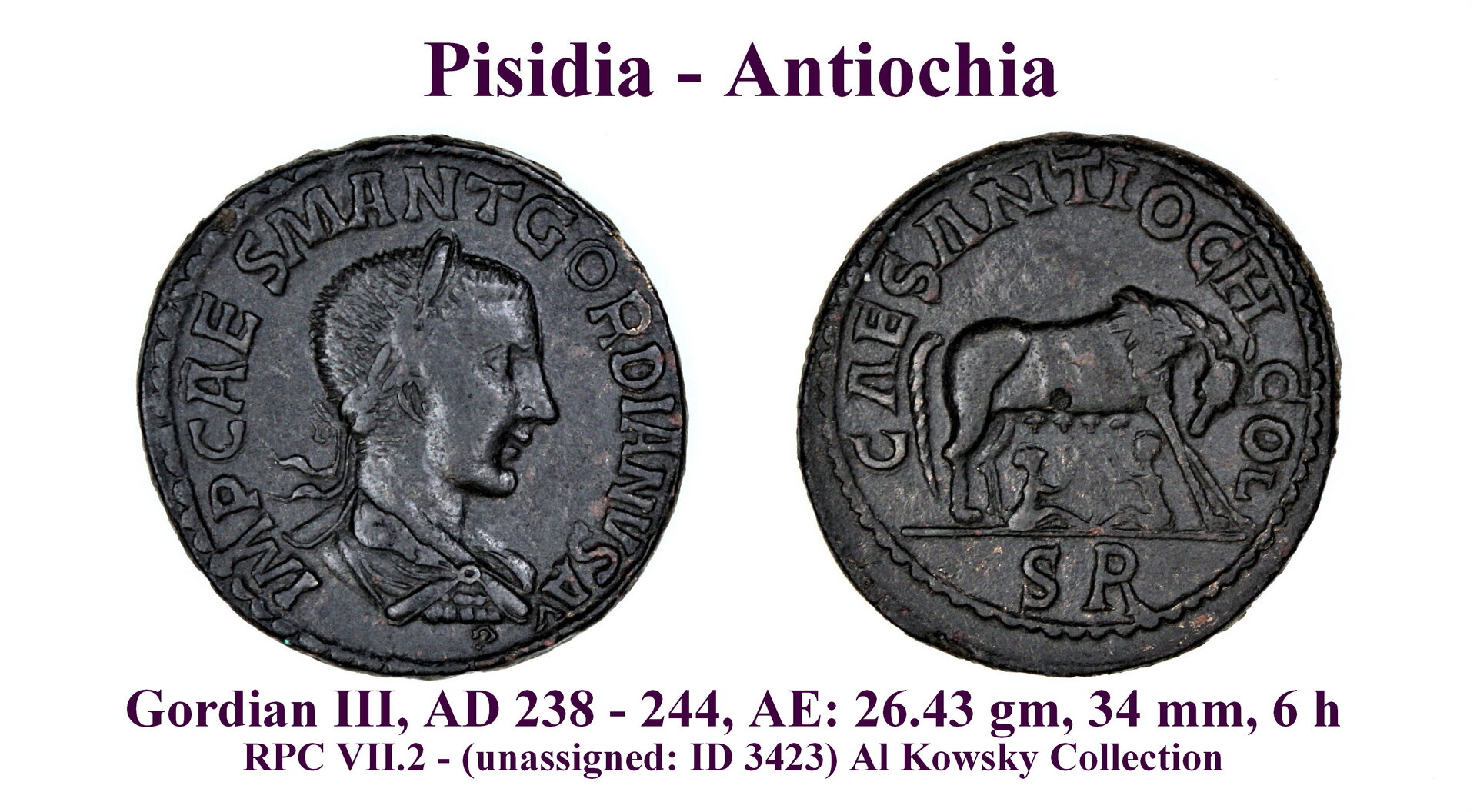 RPC VII.2 - (unassigned ID 3423) Al Kowsky Coll..jpg