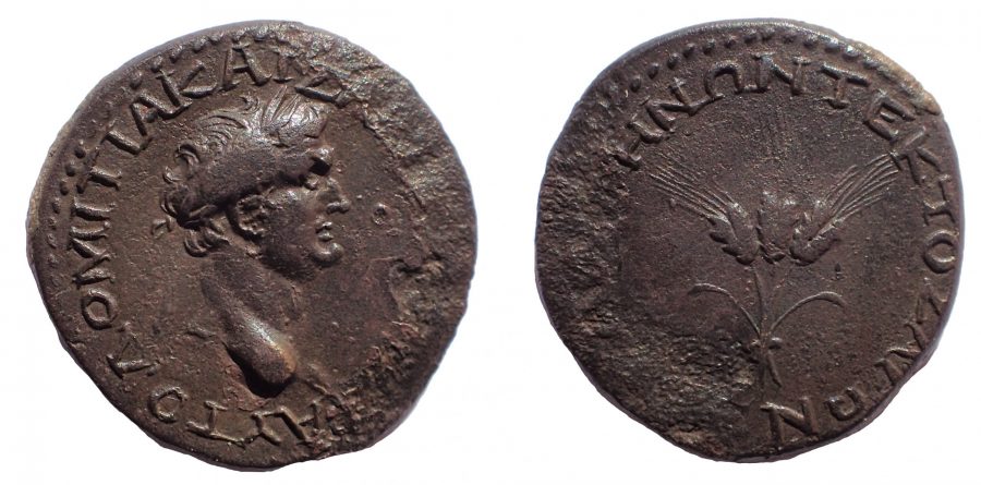 RPC1623.jpg
