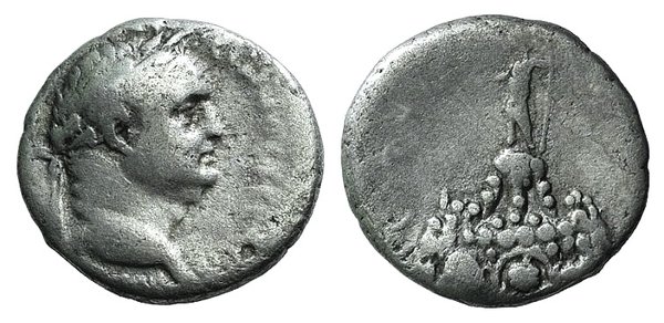 RPC1646a.jpg