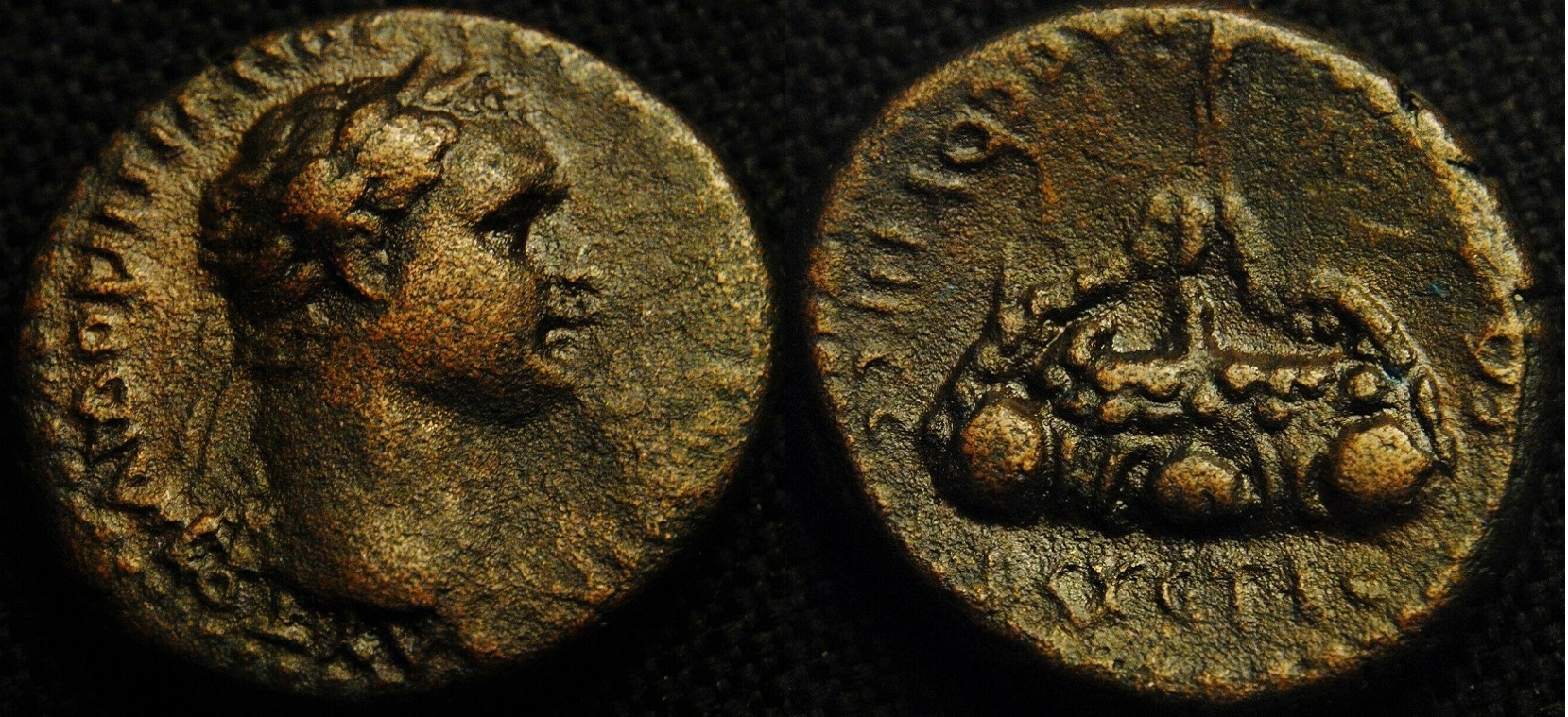 RPC1687.jpg
