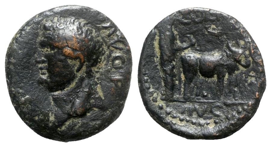 RPC2045.jpg