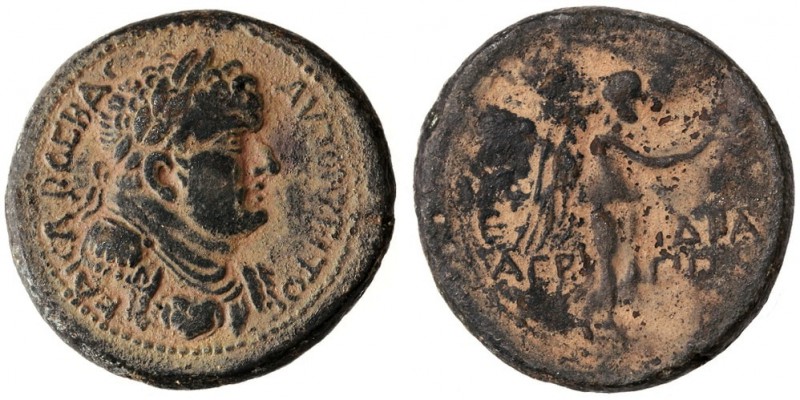 RPC2246-.jpg