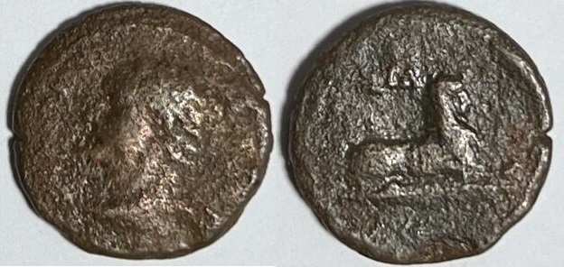 RPC2646.jpg
