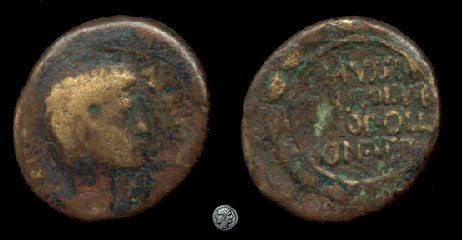 RPC_1141.jpg