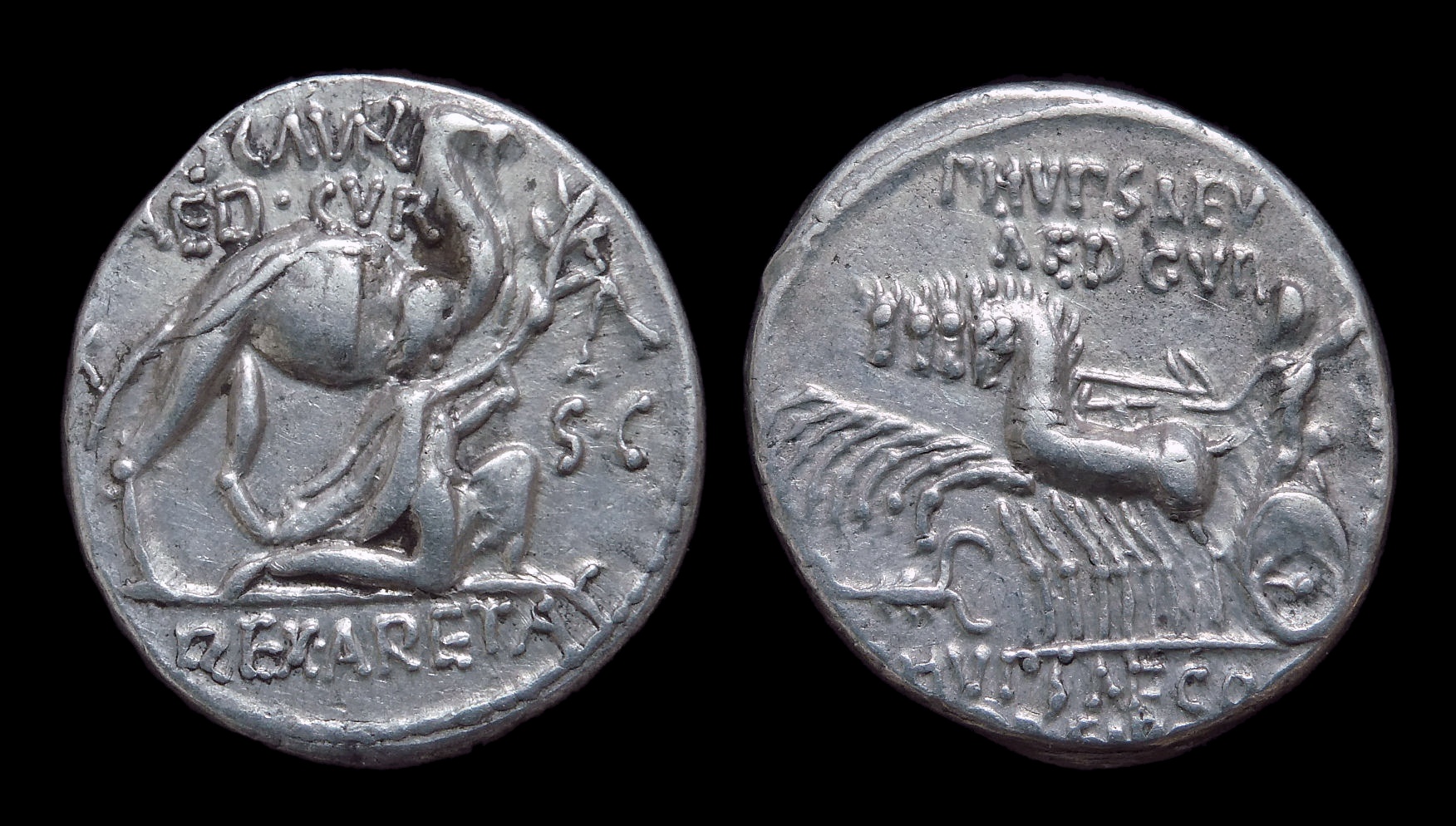 RR - Aemilius Scaurus Aretas camel ex DePew.JPG