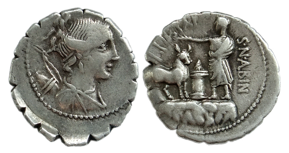 RR albinus diana.jpg