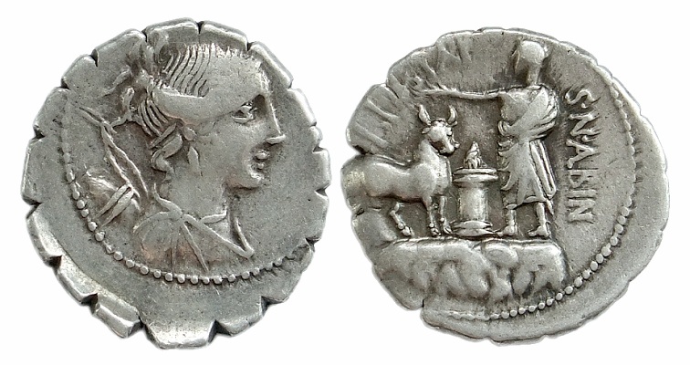 RR albinus diana400.jpg