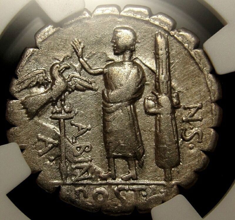 RR albinus legionay denarius.JPG