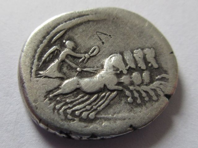 rr carisius victory on both sides.JPG