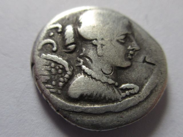 rr carisius victory with a bun.JPG
