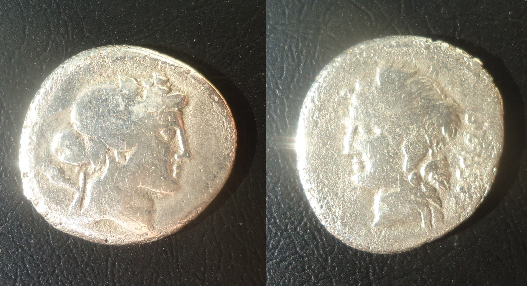 RR - Cassis Liber Liberia 2017 (0).jpg