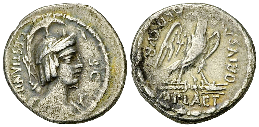 rr cestianus purchase.jpg