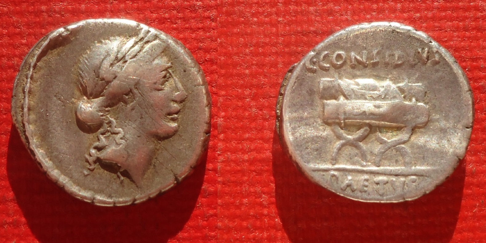 RR - Considia - Curule Chari Den (0dk).jpg