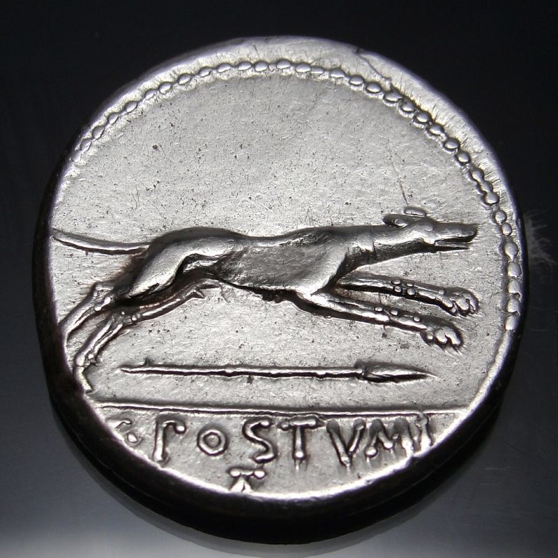 RR denarius postumus venus dog.jpg
