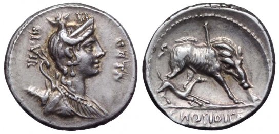 rr geta denarius and boar.jpg