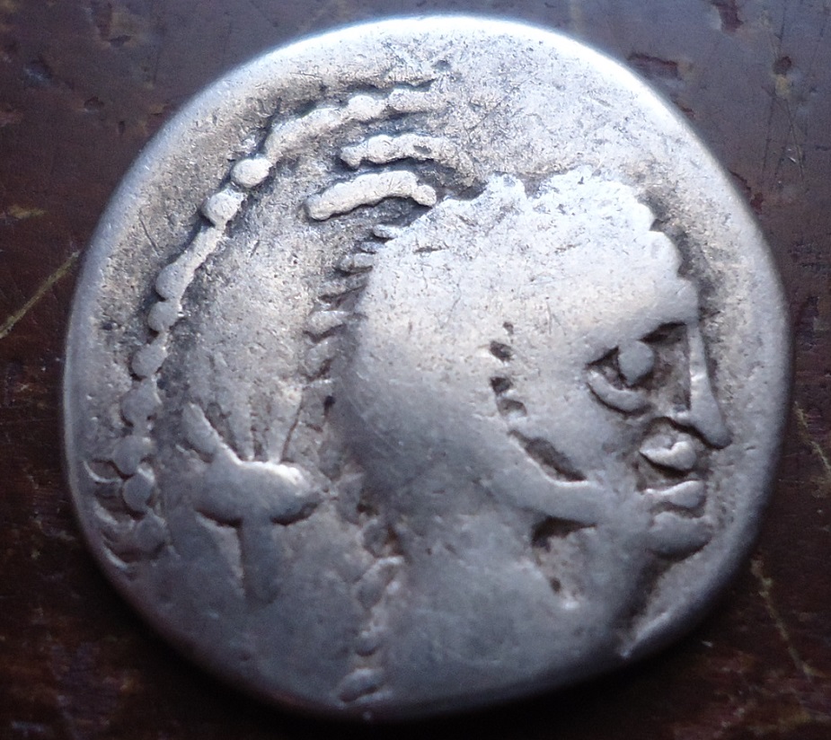 RR imitation of L. PAPI (1)a.JPG