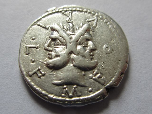 rr janiform furius.JPG