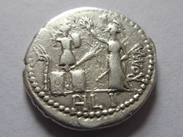 rr janoform firius reverse.JPG