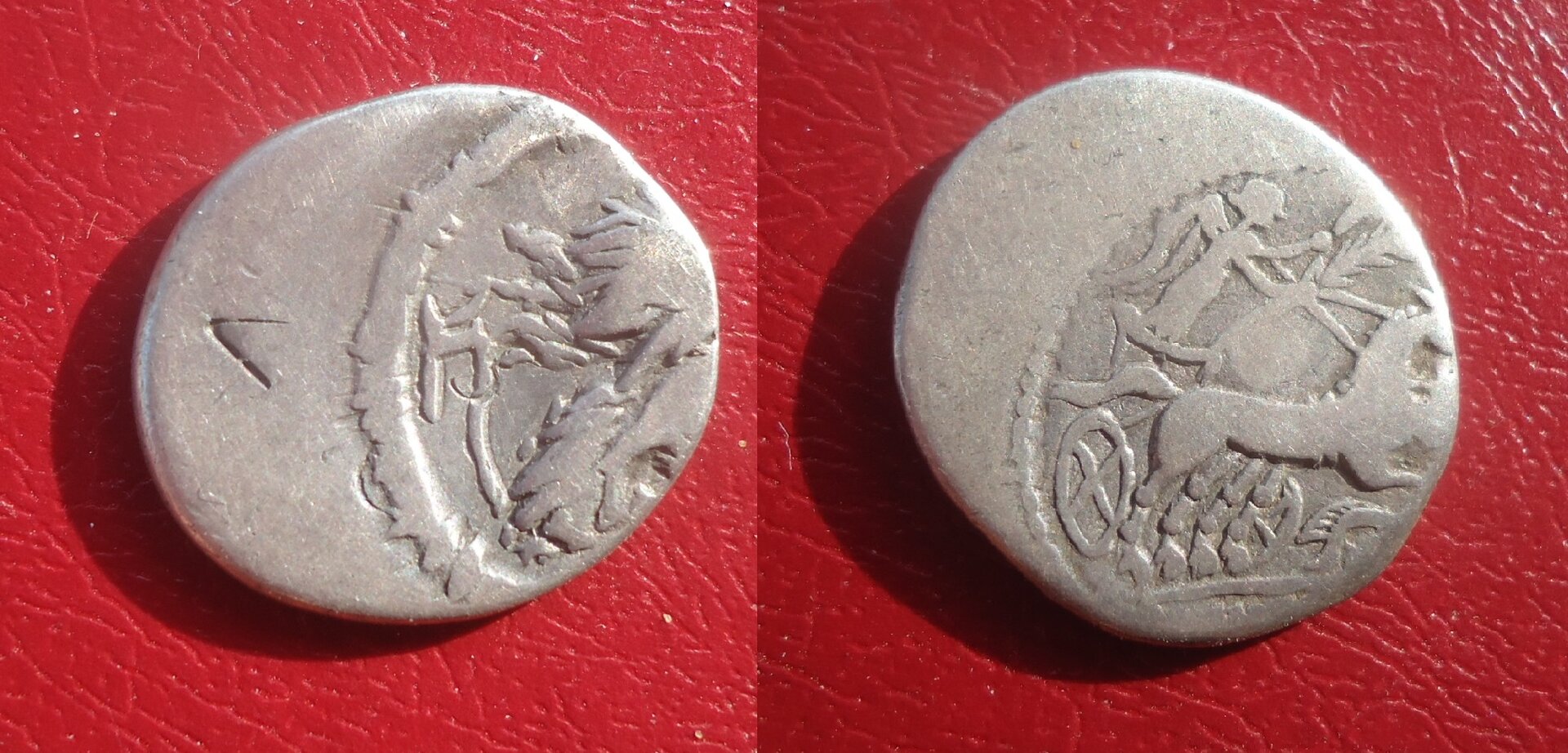 RR - Junia denarius June 2017 (0).jpg