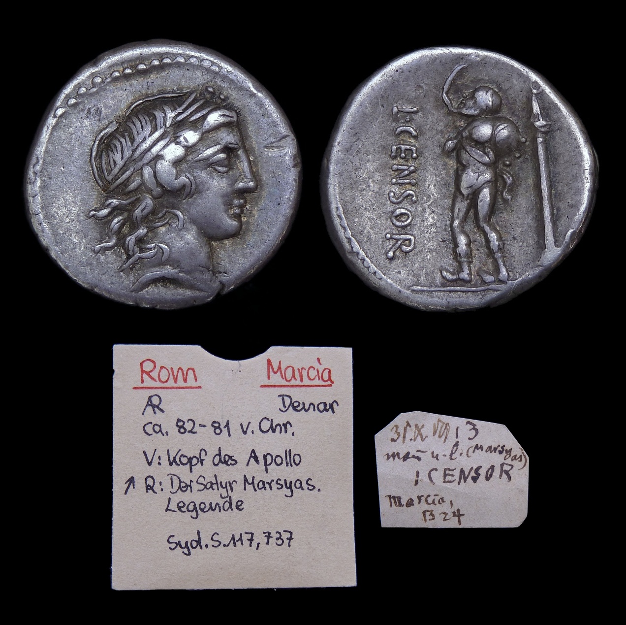 RR - L Censorinus Marsyas ex Hommel 3039 with tags.jpg