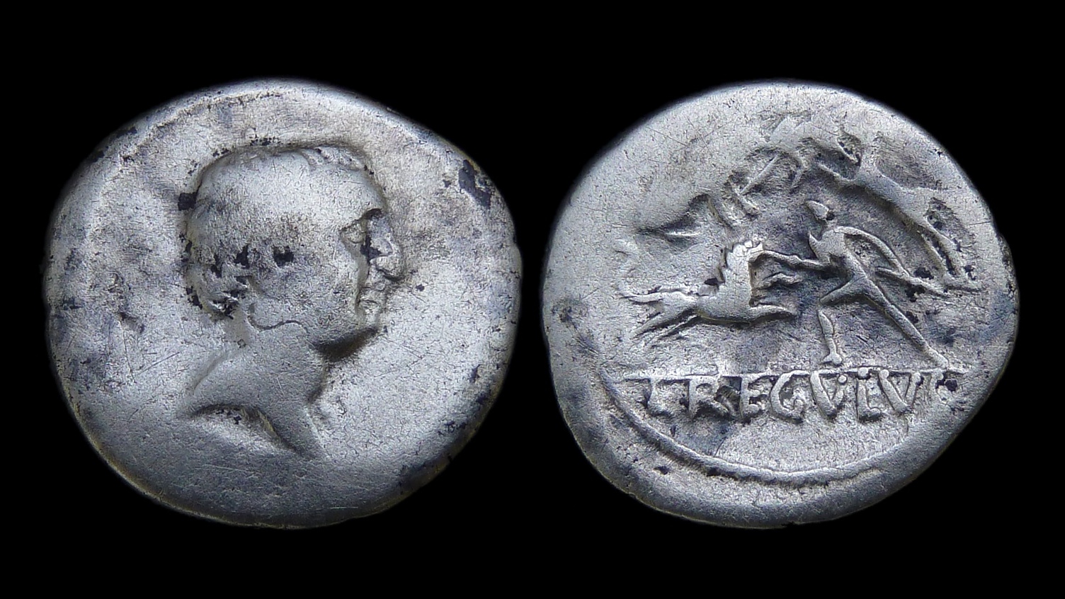 RR - L Regulus Bestiarii 3416.jpg