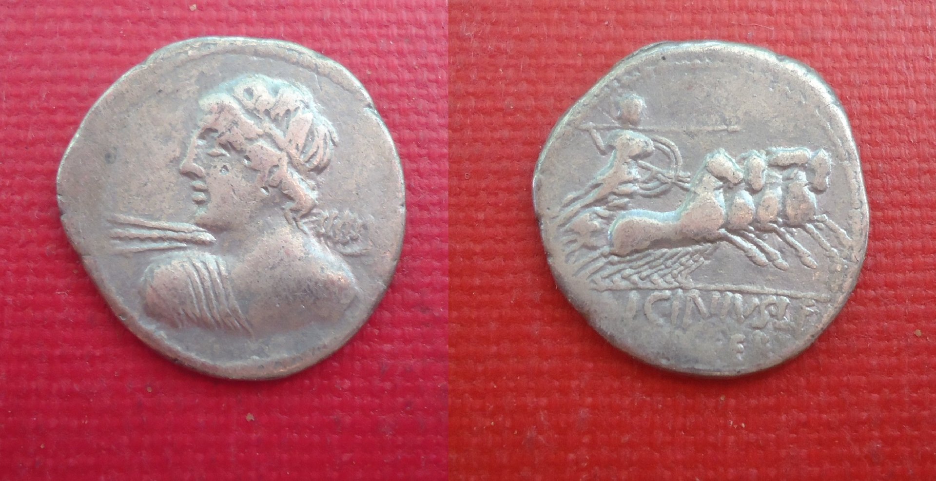 RR - Licinia Vejovis Jun 2019 (0).jpg
