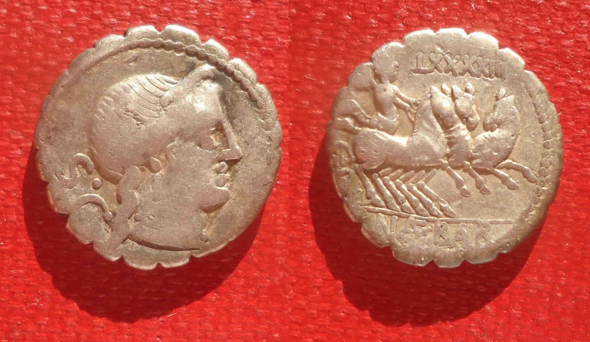 RR - Naevia 6 denarius Dec 2013  (0).jpg