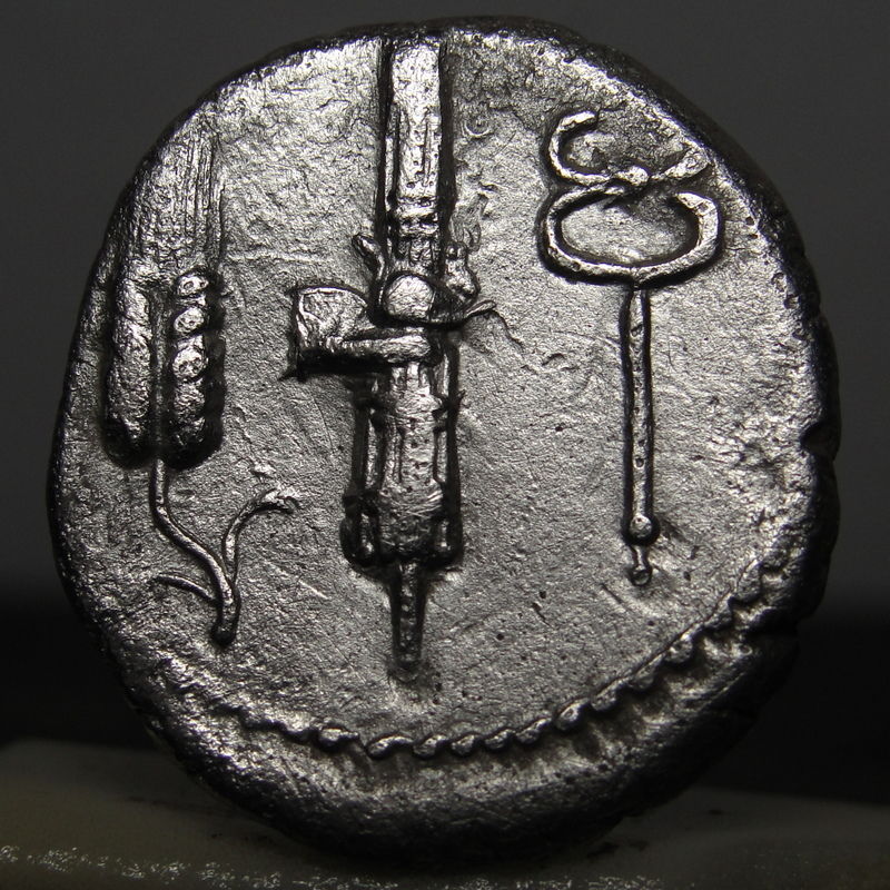rr norbanus reverse.jpg