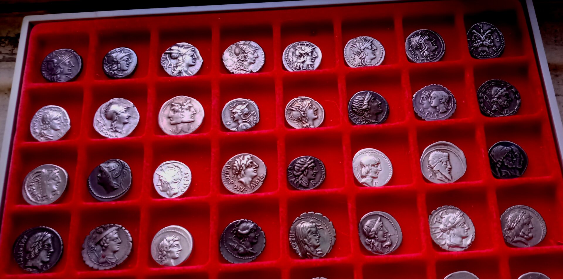 RR Obvs in tray top half 1.jpeg