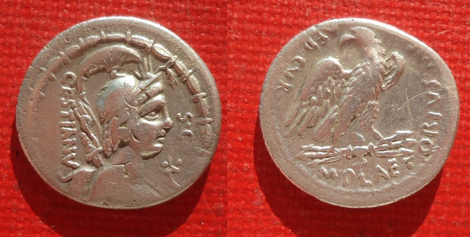 RR - Plaetoria - Eagle denarius (0).jpg