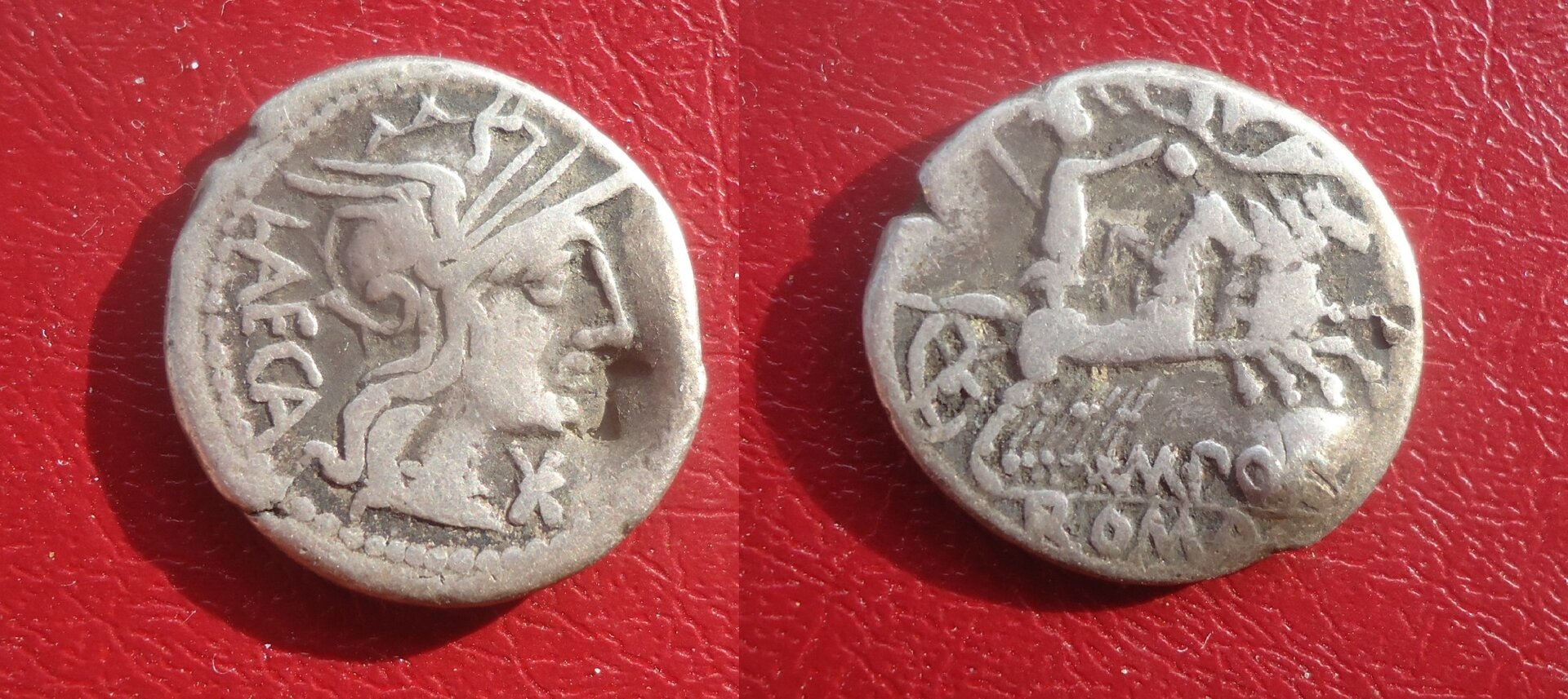 RR - Porcia denarius Sep. 2013 (0).jpg