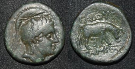 RR Prv Macedon Province 168-166 BC Tamios Quaestor Athena Cow - Eeyore.jpg