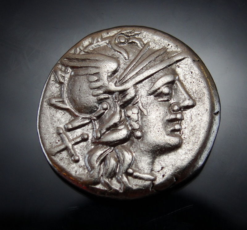 rr renius goat biga.jpg