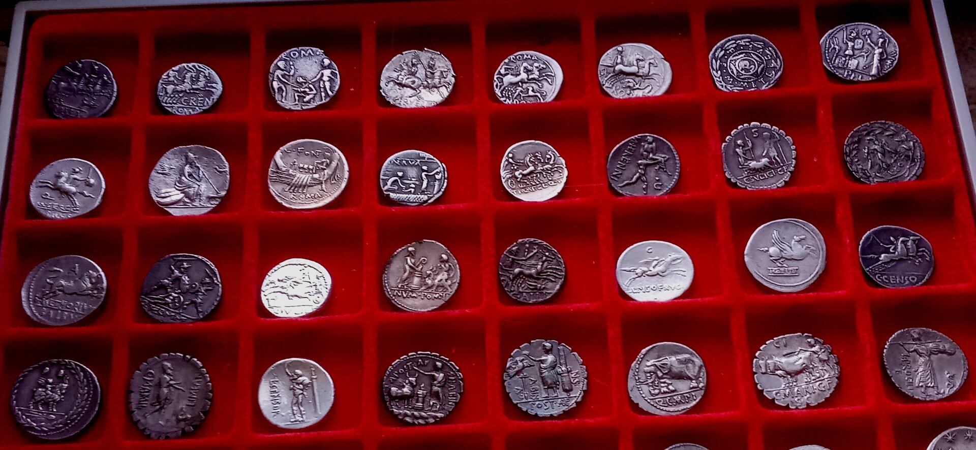 RR Revs in tray top half 1.jpeg