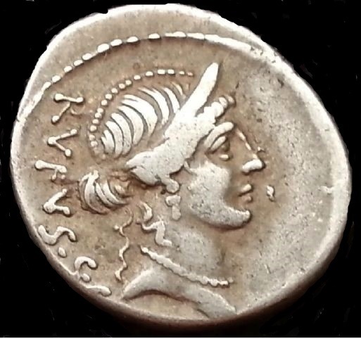RR rufu dolphin obverse.JPG