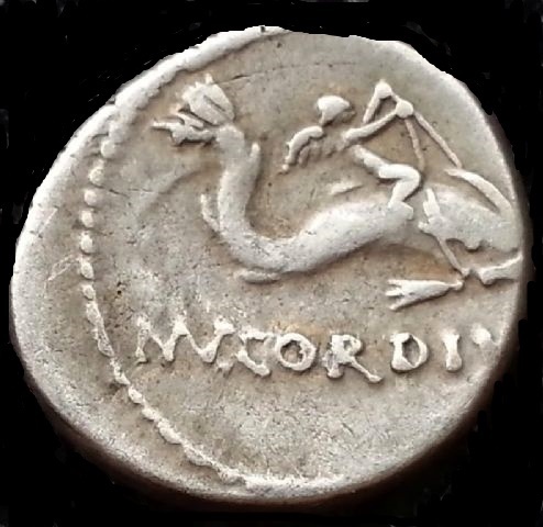 RR rufus dolphin reverse.JPG