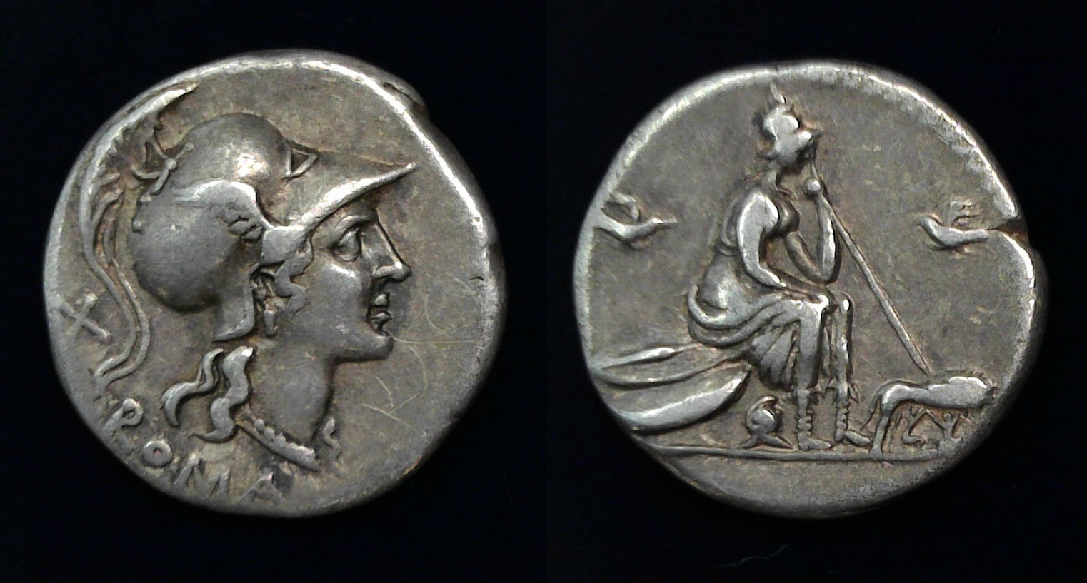 RR Seated Roma.jpg