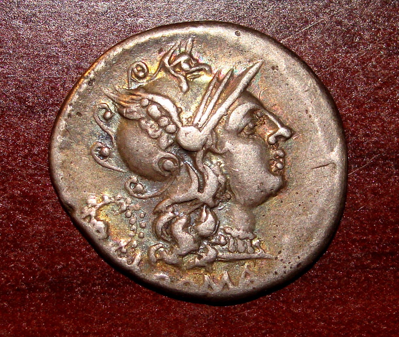 RR Servilia 1 OBV.JPG