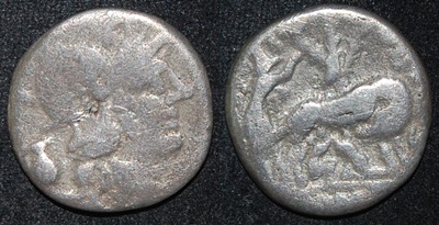 RR Sextus Pompeius 137 BCE AR Den She-Wolf Rom Rem S112 Cr 235-1a.jpg