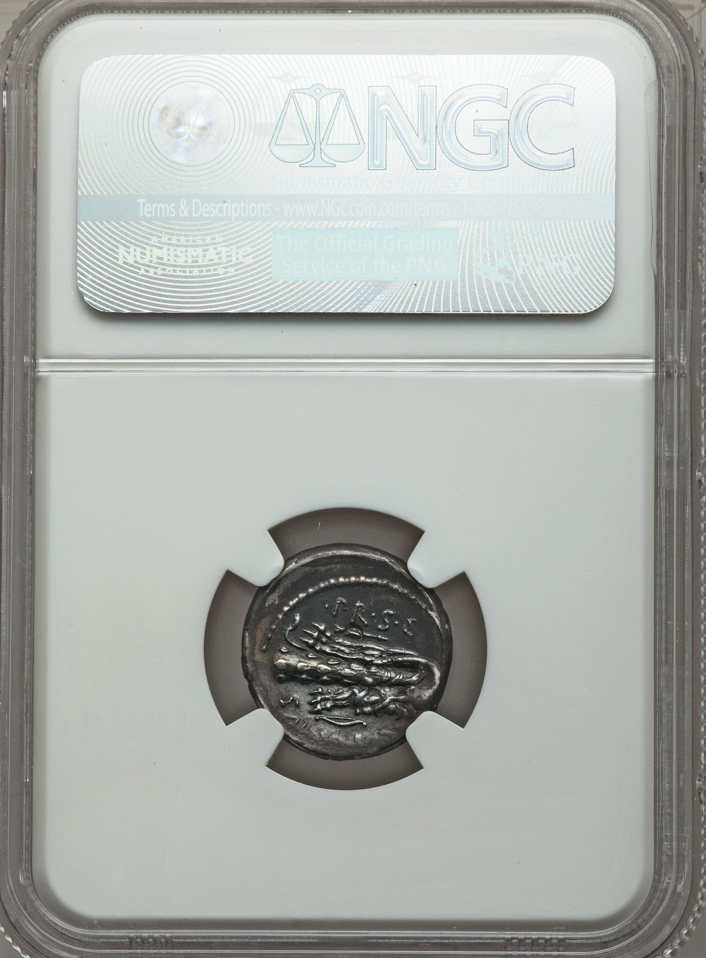 rr sicinius coponius pompey reverse.jpg