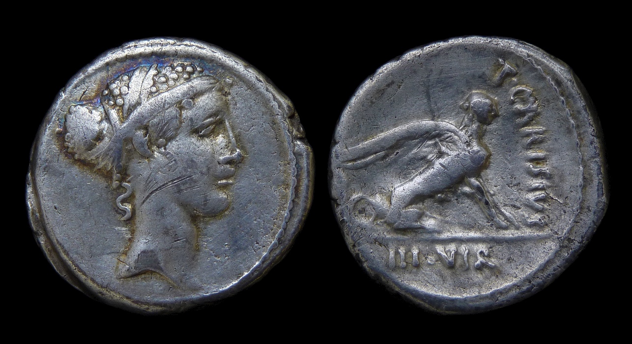 RR - T Carisius Sphinx Mikey Zee.jpg