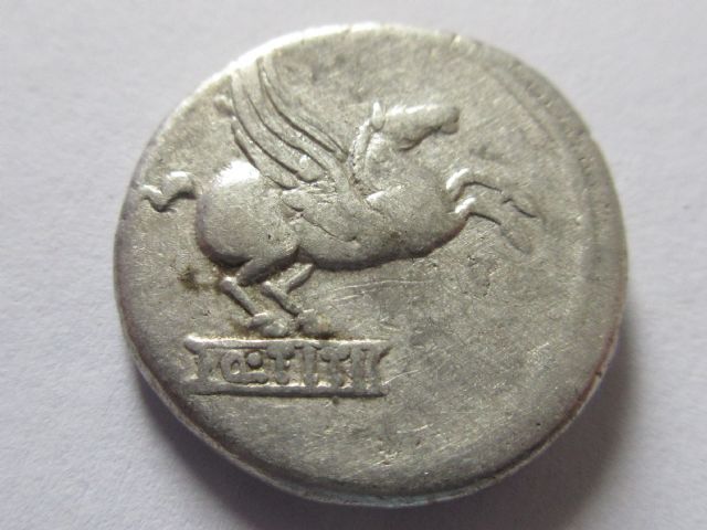 rr titinus reverse of pegasus.JPG